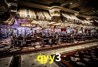 qyy3